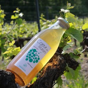 CŒUR DE RAISIN BLANC